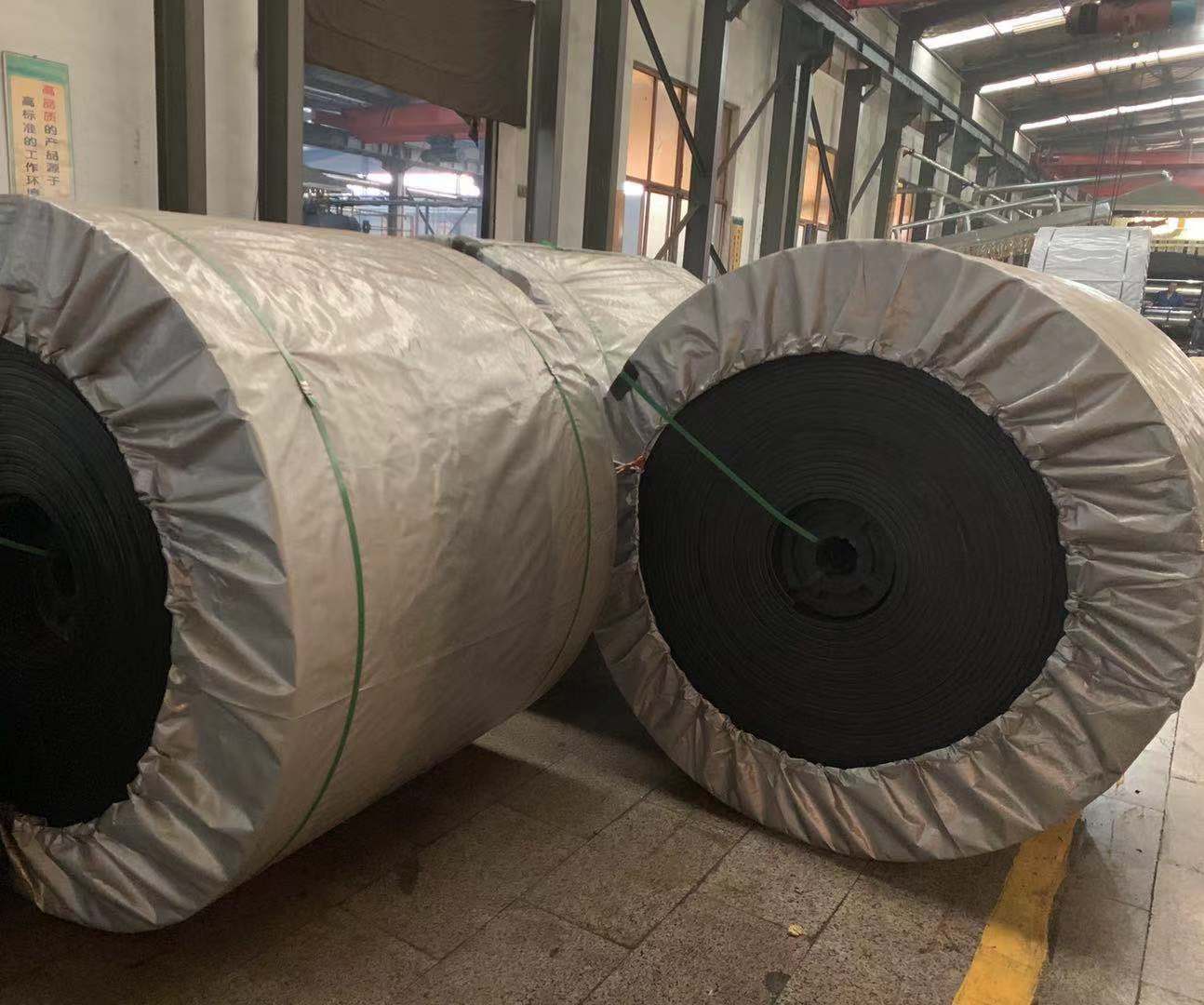 撸撸社软件下载免费版直銷